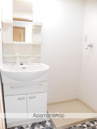 コモド　カーサ[1R/34m2]の洗面所