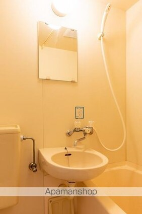 メゾン・ド・パリス[1K/16.2m2]の洗面所