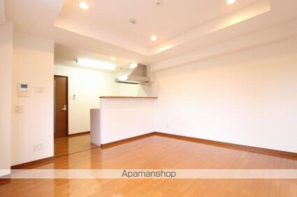 ＣＡＳＡ　ＡＮＧＥＬＩＣＡ[1K/37.2m2]の内装3