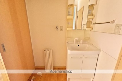 シャーメゾン中通　Ａ棟[3DK/55.08m2]の洗面所