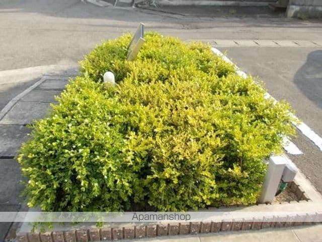 ティファニーハイツ Iの内装写真