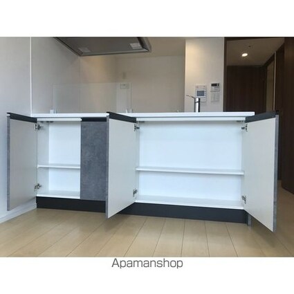 アスール北上野　[1LDK/40.54m2]の収納