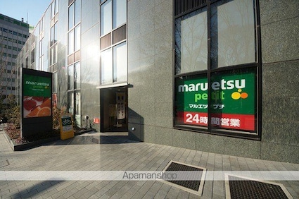 西新宿カーネル[1K/17.18m2]の周辺11