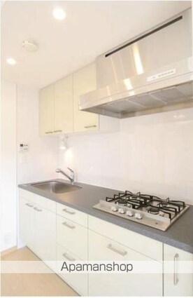 東京都世田谷区三軒茶屋１丁目[2LDK/53.76m2]のキッチン