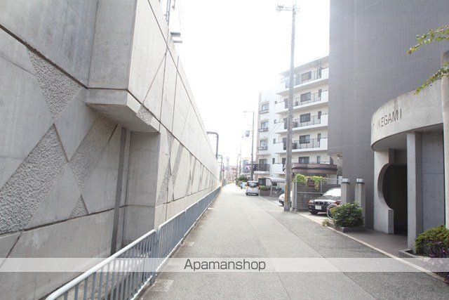 コートイケガミの周辺写真