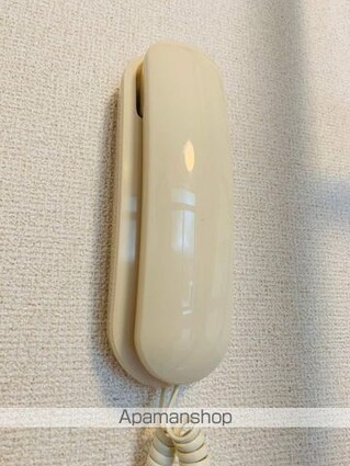 レオパレスパティオ[1K/20.28m2]のセキュリティ