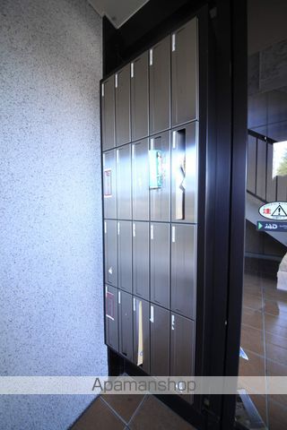 メゾンド﨔[1R/31.01m2]の共用部8