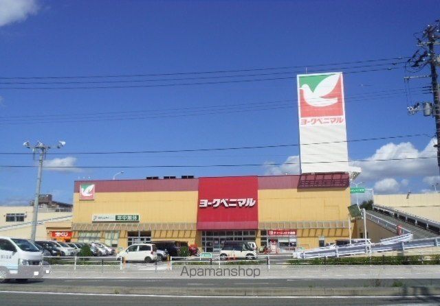 アプリコットの周辺写真