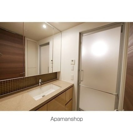 コンフォリア新宿イーストサイドタワー[1LDK/55.47m2]の洗面所