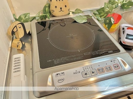 アースマーシーマンション[1K/22.9m2]の内装3