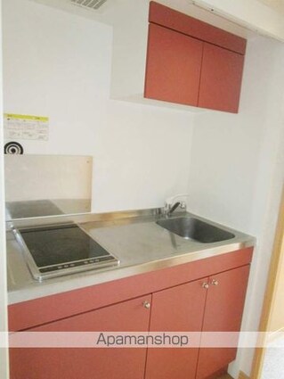 レオネクストフラワー[1K/28.02m2]のキッチン