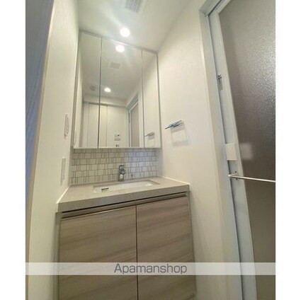 ザ・パークハビオ文京目白台プレイス[2LDK/43.89m2]の洗面所