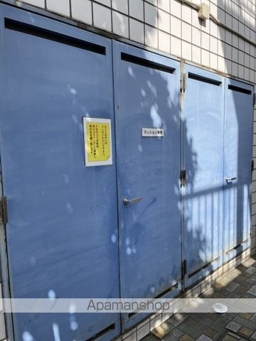 グラチアトルリのその他写真