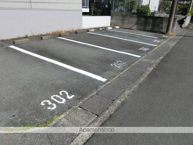 アレグリアのその他写真