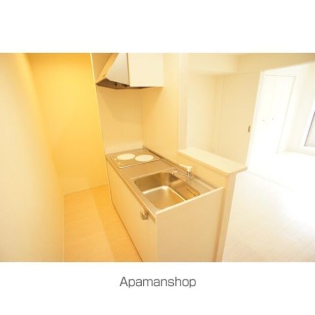 Ｇｒａｎｄ　Ｈｉｌｌｓ西早稲田　グランヒルズニシワセダ[1LDK/32.4m2]のキッチン