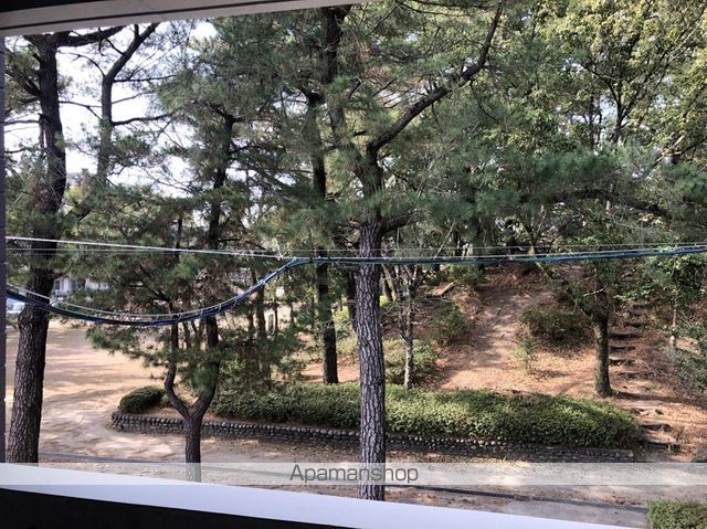 LAZONAのその他写真