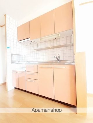 フォレスト・ビューⅡ[2DK/49.86m2]のキッチン