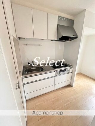 Ｎ・Ｆフラッツ[1LDK/42.28m2]のキッチン