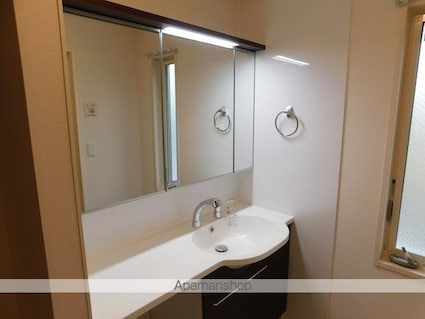 恵比寿Ⅴ[1LDK/45.89m2]の洗面所