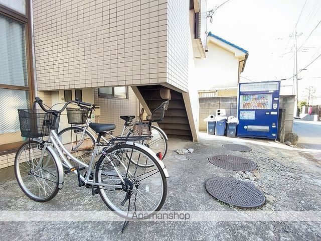 ニューフォレストのその他写真