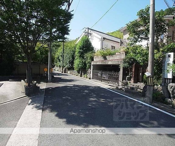 ヴェルデネロカミガモのその他写真