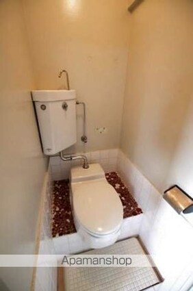 大石マンション[2K/43.32m2]のトイレ