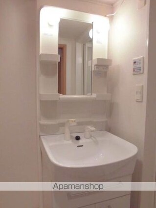 クレメント椿[1K/27.78m2]の洗面所