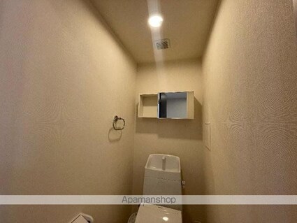 グラン　フェリシア（Ｇｒａｎｄ　Ｆｅｌｉｃｉａ）[2LDK/53.8m2]のトイレ