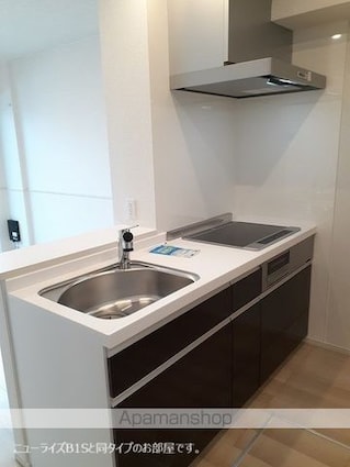 サンリットＭⅡ[2LDK/50.47m2]のキッチン