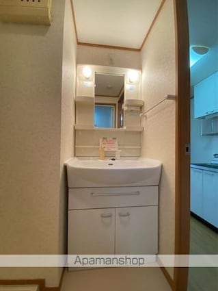 ヴィドゥ　カンパーニュ[1K/34m2]の洗面所