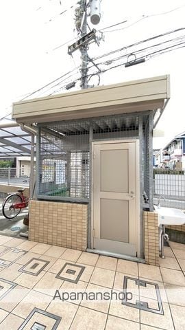 ヴィオレータのその他写真