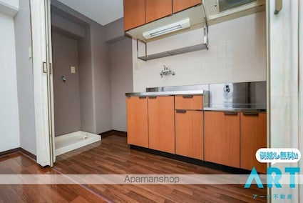 リオン・ドール[1R/22m2]のキッチン