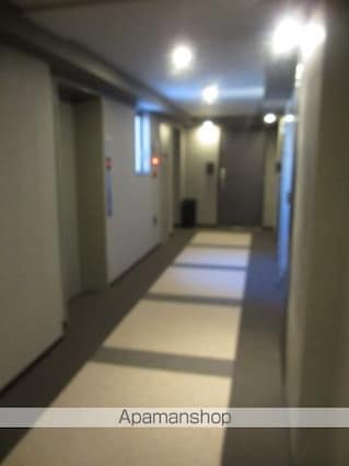 パークアクシス錦糸町ヴェール[1R/25.95m2]の共用部5