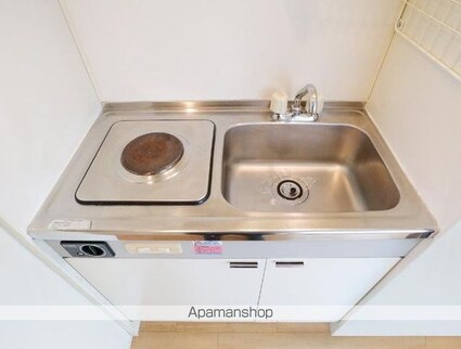 ラ・ルース国立[1R/18.05m2]のキッチン2