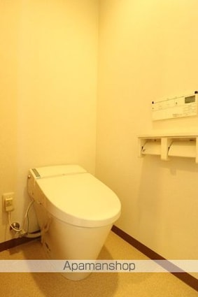 グリーンヒルハイツ[1LDK/41.25m2]のトイレ