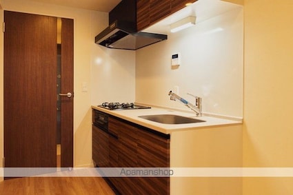 フロンティアレジデンス錦糸公園[2LDK/45.95m2]のキッチン