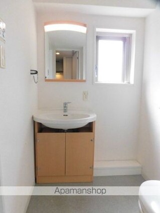 ニューシティアパートメンツ亀戸[1K/38.66m2]の洗面所