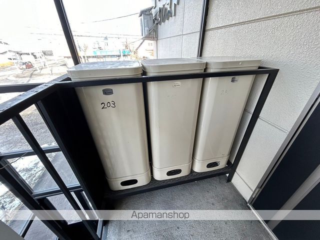 ゴールドクレストのその他写真