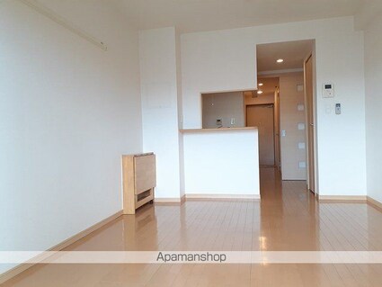 シャトーエクセラン[1R/29.52m2]のその他内装