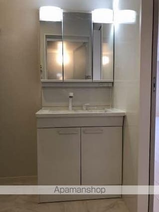 シャーメゾン　セルディーナ[2LDK/67.84m2]の洗面所