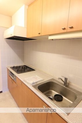 グランドゥール宮崎台[3LDK/64.1m2]のキッチン