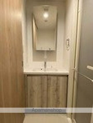 ＴＨＥ　ＰＡＬＭＳ錦糸町[2LDK/57.29m2]の洗面所