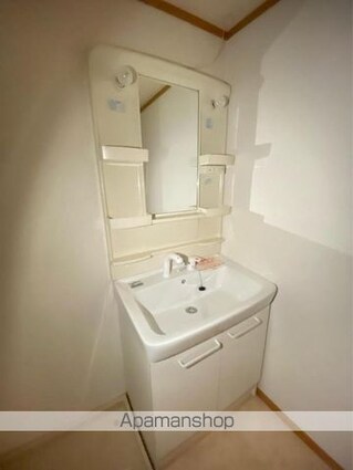 アメニティーハイツ川島Ⅱ[1LDK/40.72m2]の洗面所