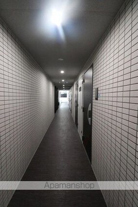 ジェノヴィア京成立石Ⅳスカイガーデン[1K/24.07m2]の共用部7