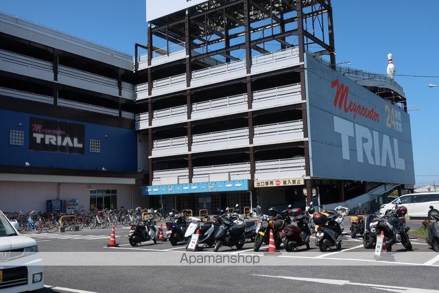 メタセコイアの周辺写真