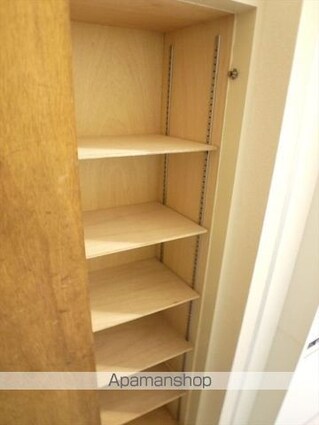 ユースフル祐天寺Ｎｏ．２[1R/13.37m2]の収納