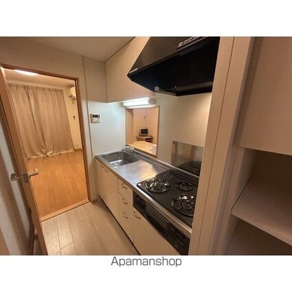 ベガⅠ[1LDK/45.24m2]のキッチン1