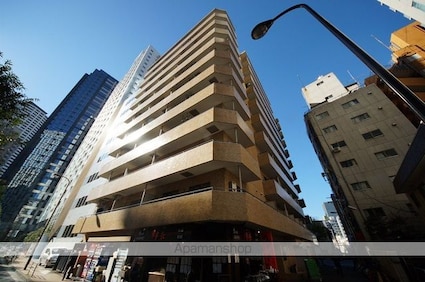 ライオンズマンション西新宿第７[1R/16.71m2]の外観3