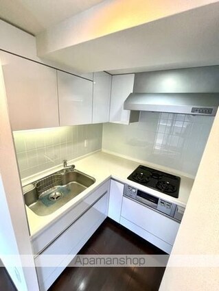 レジディア三軒茶屋Ⅱ[2LDK/64.01m2]のキッチン