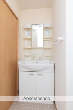 フィネス三渓[2LDK/59.85m2]の洗面所